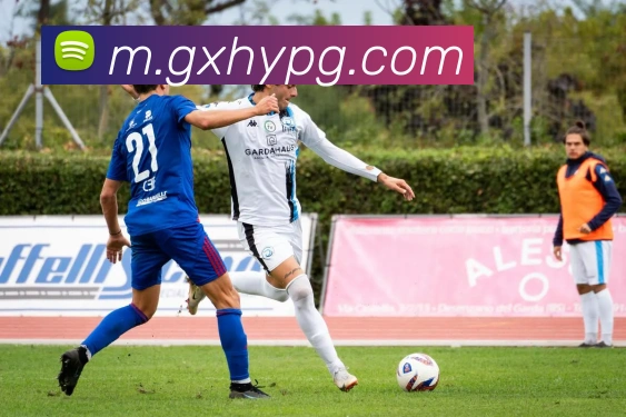 pg电子APP 高清赛事图